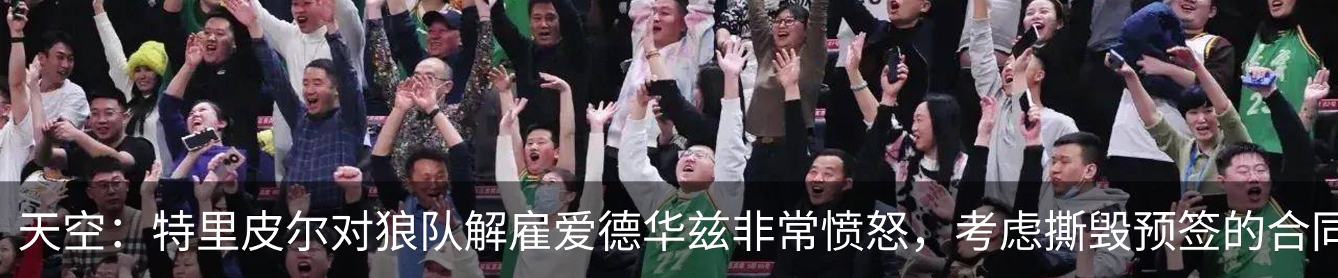 最新动态