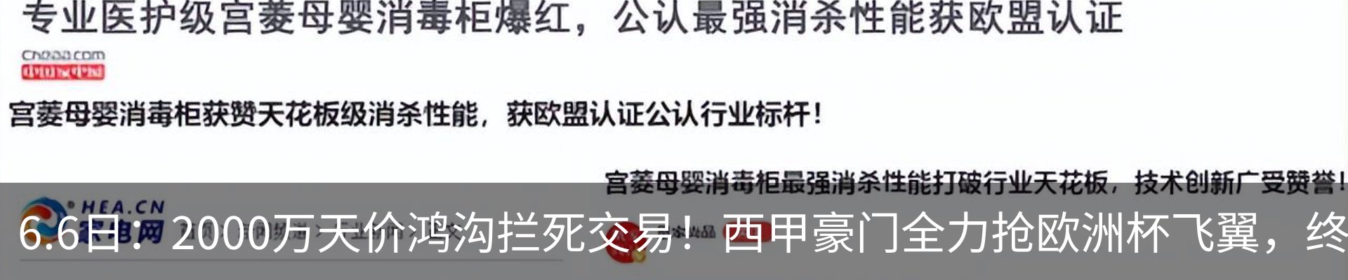 最新动态